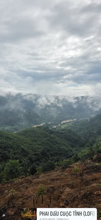 Đất nền Bù Đăng, Đức Phong 3500m² giá 1.35 tỷ - Tiềm năng phát triển vượt bậc!