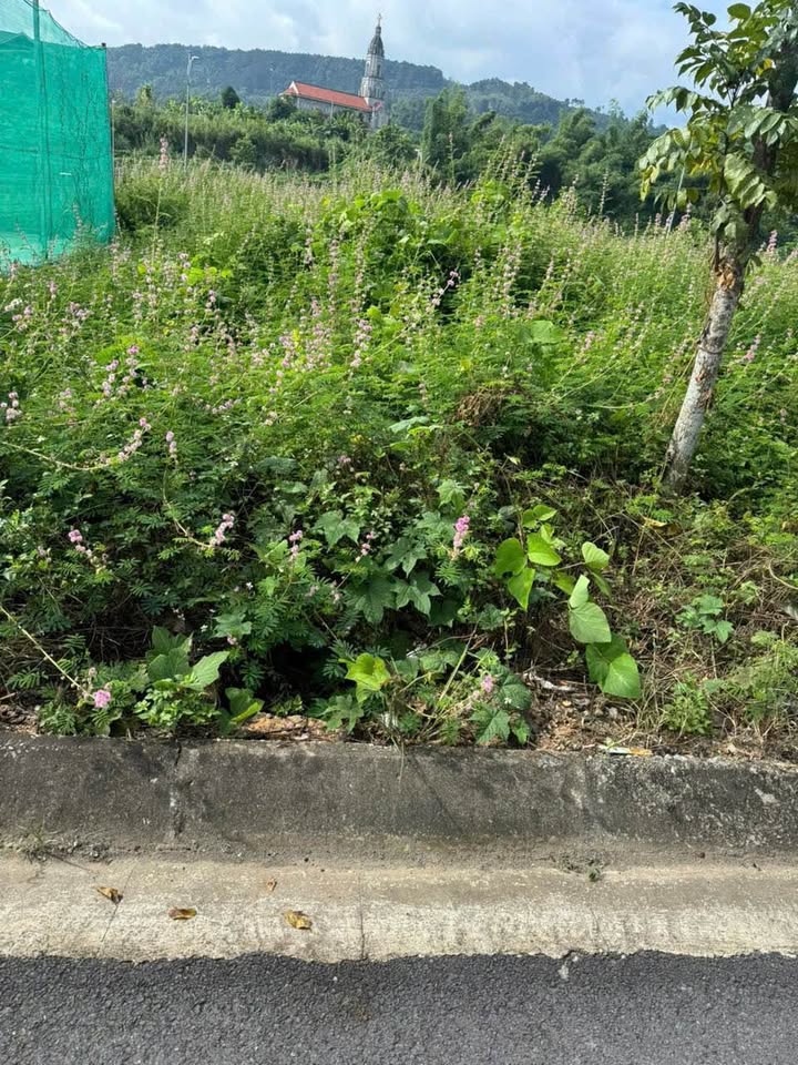 Đất nền đường Phan Huy Ích Lào Cai 100m² giá 2.18 tỷ - Vị trí đẹp, tiện ích đầy đủ!