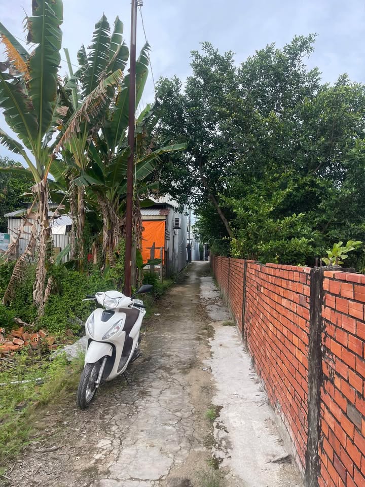 Nhà bán đường Nguyễn Thái Học, xã An Châu, 136m² - Nhà mới xây, tiện nghi đầy đủ!