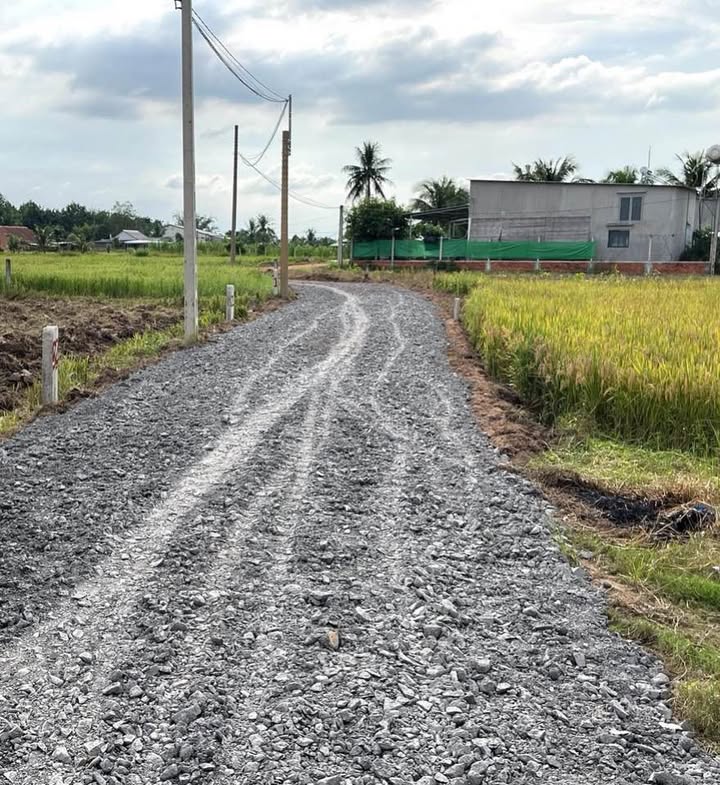 Đất nền 1000m² giá 300 triệu tại ấp Suối Dộp, Châu Thành - Cơ hội đầu tư hấp dẫn!