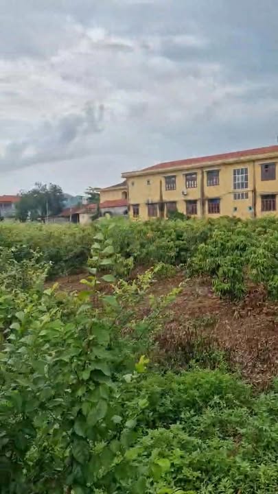 Đất vườn 6 sào Đồng Cốc, Lục Ngạn, Bắc Giang - Giá chỉ 1 tỷ, chính chủ!