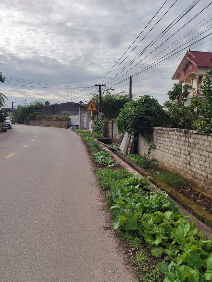 Đất nền Quý Sơn Lục Ngạn 225m² giá 1.65 tỷ - Mặt tiền rộng, vị trí đẹp!