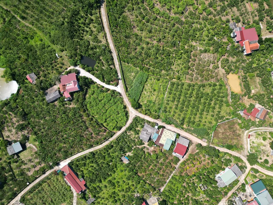 Bán vườn 4000m² xã Đồng Cốc, Lục Ngạn, Bắc Giang - Đầu tư sinh lời hấp dẫn!