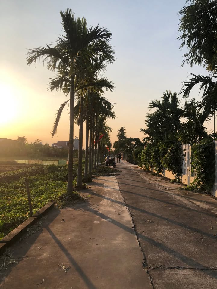 Đất nền Nghĩa Hải 175m² giá 800 triệu - Đầu tư sinh lời ngay!