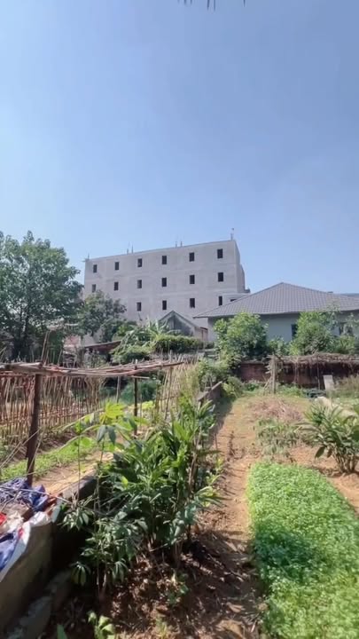 Đất nền xã Xuân Mai 65.9m² giá 2 tỷ - Cơ hội đầu tư hấp dẫn!