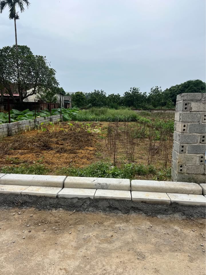 Đất nền Hòa Trúc, Quốc Oai 216m² giá 3 tỷ - Đầu tư sinh lời, phong thủy tốt!