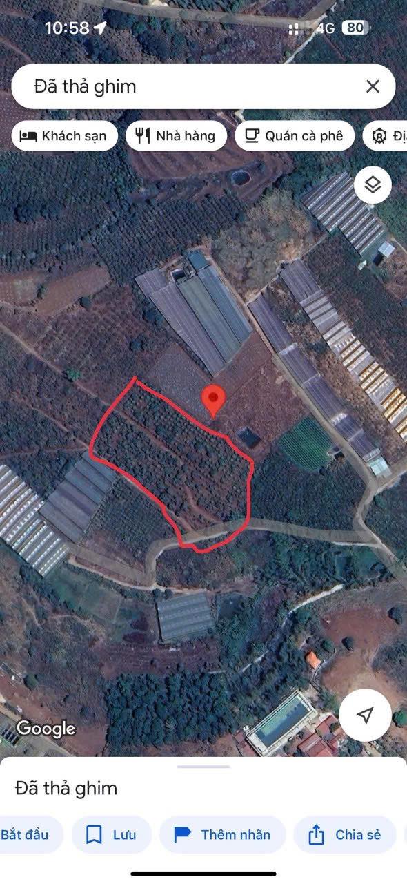 Đất Tà Nung Đà Lạt 10,800m² - Chính chủ, Sổ đỏ, Thổ cư