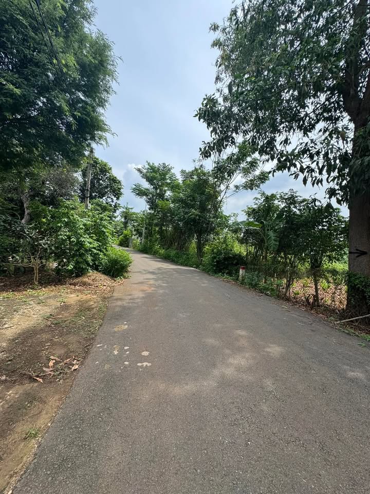 Đất Láng Lớn 1000m² giá 1.6 tỷ - Mặt tiền đường nhựa, phù hợp đầu tư!