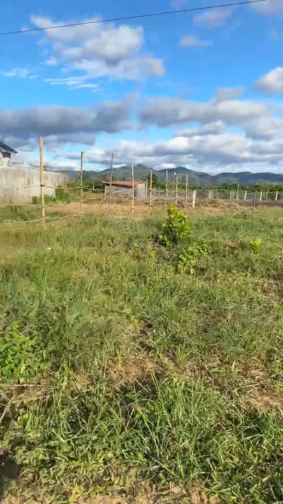 Đất nền đường quy hoạch số 10, xã Đắk Hring, huyện Đắk Hà, 294m² - Vị trí đắc địa, giá tốt!