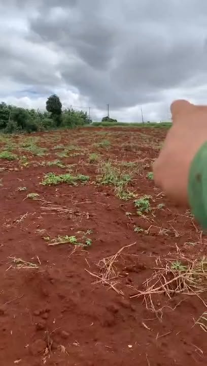 Đất thổ cư 34.000m² tại xã Đê Ar, huyện Mang Yang, giá 3 tỷ - Đầu tư sinh lời ngay!