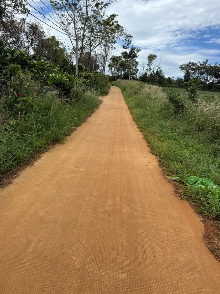 Đất nền Đắk Wer 1000m² giá 550 triệu - Cơ hội đầu tư hấp dẫn!