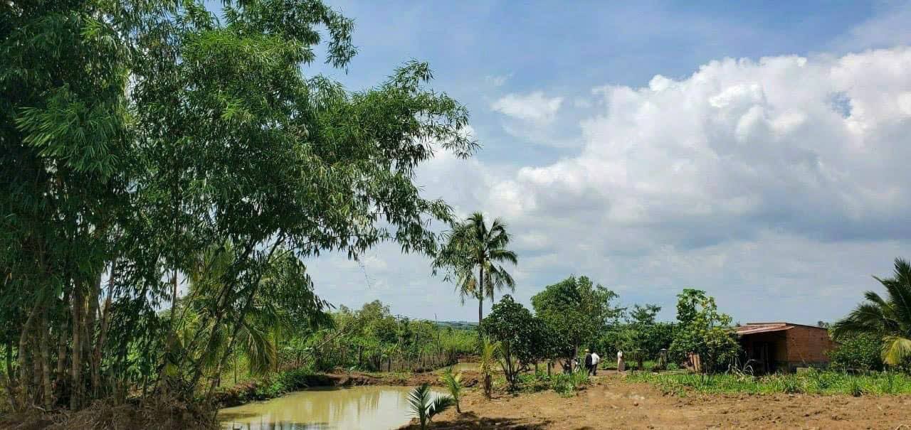 Đất nền Ea Nuôl Buôn Đôn 16.000m² giá 666 triệu - Pháp lý rõ ràng, sẵn sàng giao dịch!