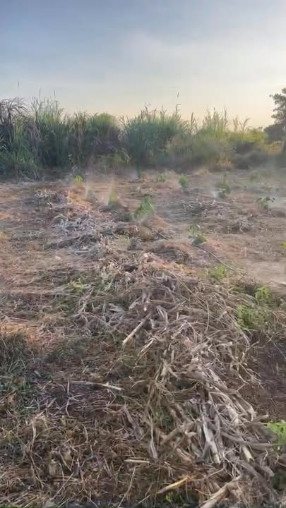 Đất nền 920m² xã Al Bá, Chư Sê chỉ 950 triệu - Cơ hội vàng cho nhà đầu tư!