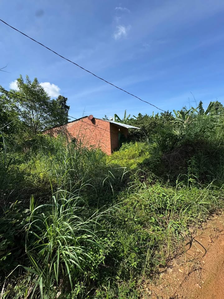 Đất nền ấp 3, xã Thanh Sơn, huyện Định Quán 3600m² giá chỉ 120 triệu - Cơ hội đầu tư tuyệt vời!