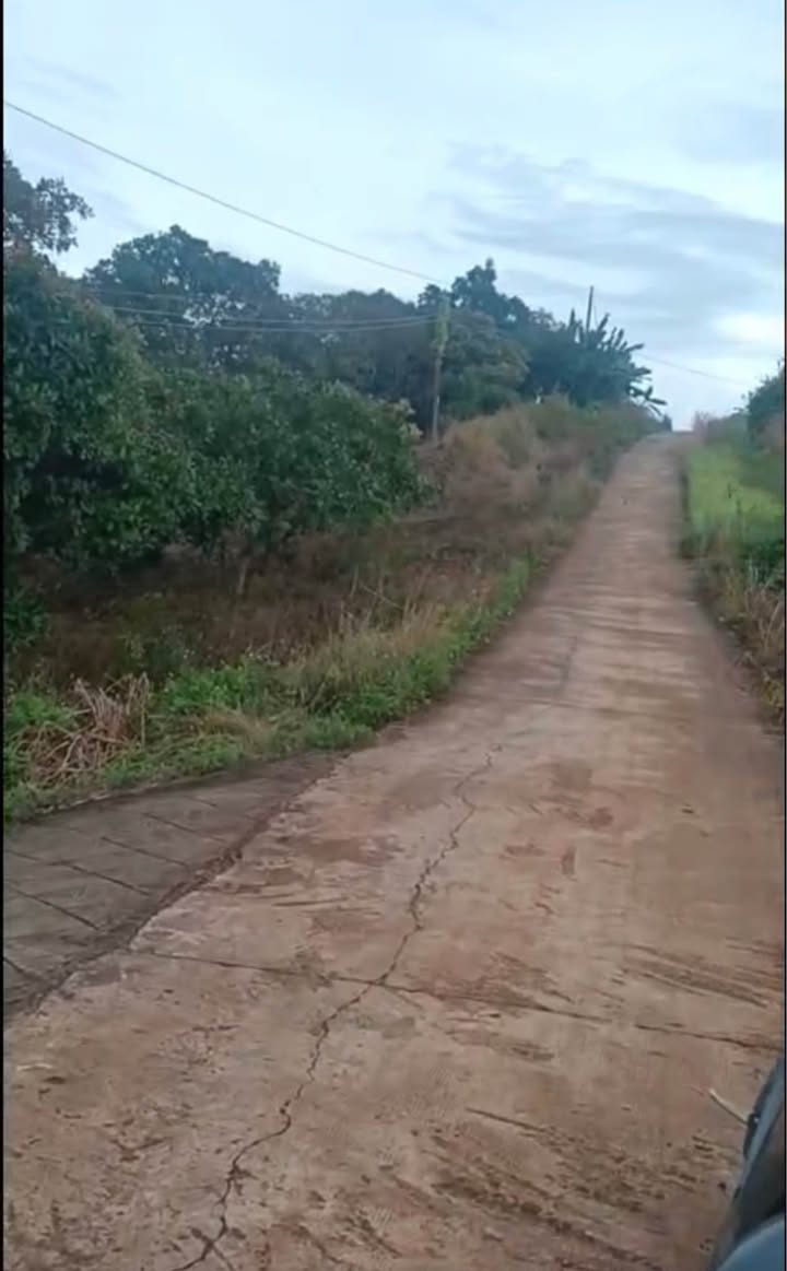 Đất nền 4 sào tại ấp 3, xã Đồng Tâm, giá 500 triệu - Pháp lý rõ ràng