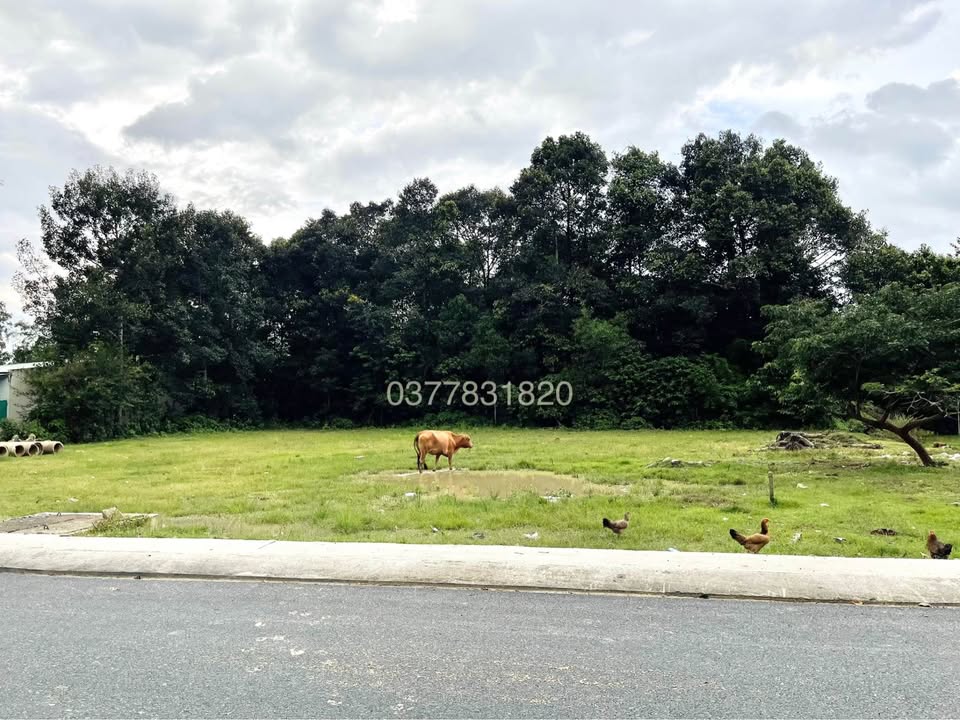 Đất mặt tiền Thạch Ngọc Biên 446m² giá 1.7 tỷ - Cơ hội đầu tư tuyệt vời!