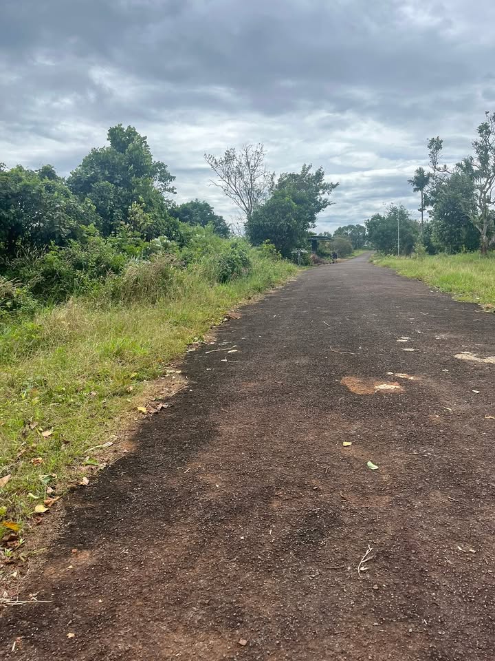 Đất thổ cư Kiến Đức 600m² giá 2.4 tỷ - Cơ hội đầu tư không thể bỏ lỡ!