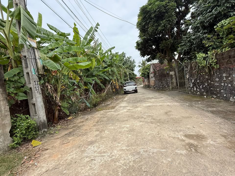 Đất nền 2 mặt tiền Yên Ninh, Thanh Hóa 600m² - Đầu tư sinh lời ngay!