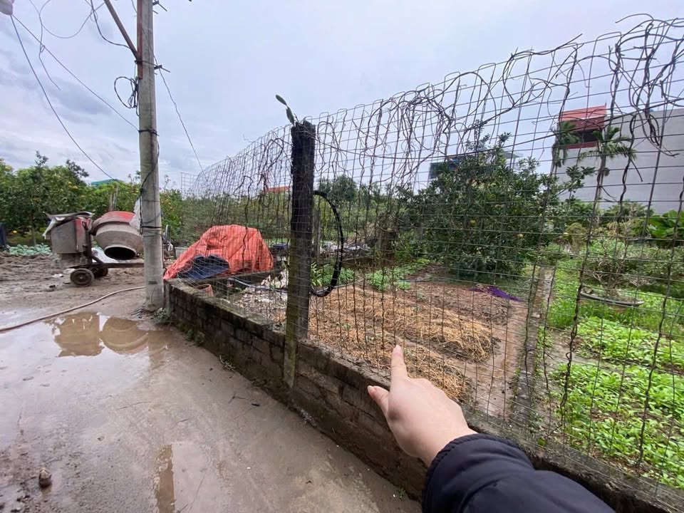 Đất đẹp Thư Phú, Thường Tín 52.7m² giá 3.08 tỷ - Chính chủ bán gấp!