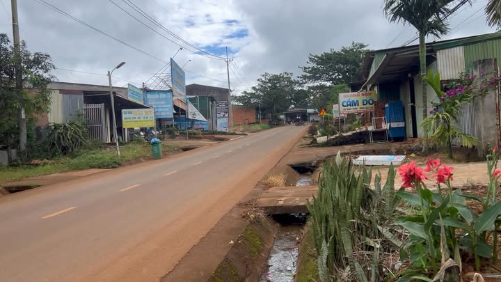 Đất nền chính chủ tại Đắk Song 2000m² - Đường Tỉnh lộ 686, gần trung tâm