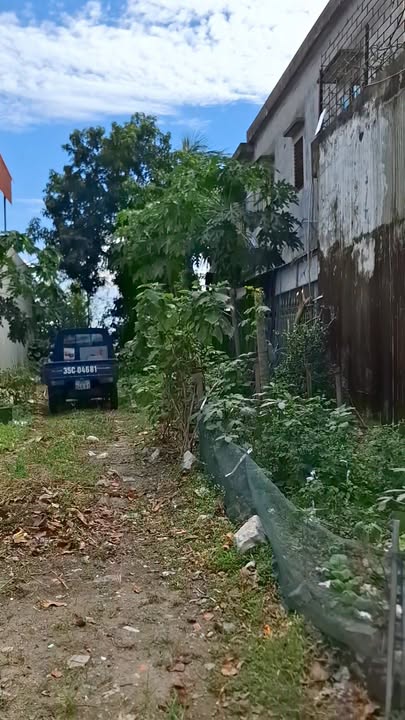 Đất mặt đường lớn 477, xã Gia Viễn, Ninh Bình 132m² - Vị trí đắc địa, giá thỏa thuận!