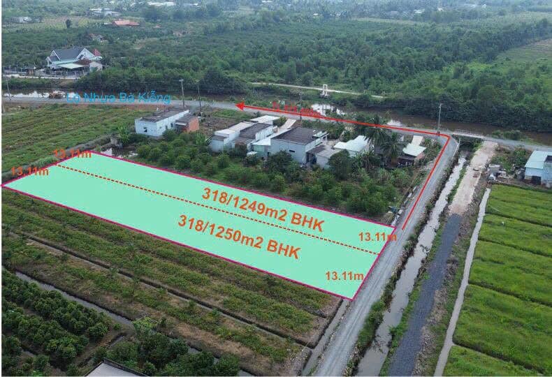 Đất vườn 2500m² tại Ấp 3, Thạnh Hoà chỉ 2.5 tỷ - Cơ hội đầu tư tuyệt vời!
