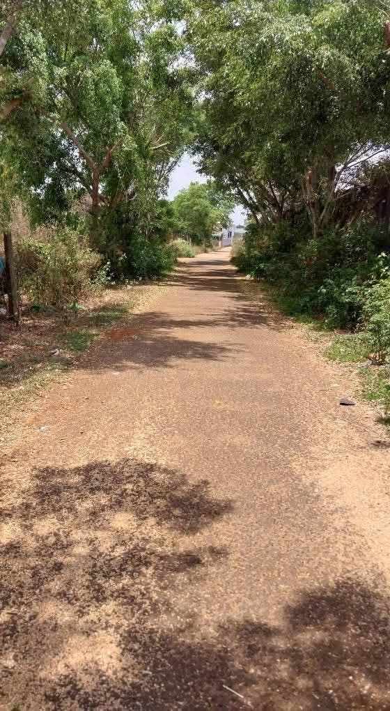 Đất nền Hẻm 43 Ngô Quyền, xã Biển Hồ 300m² giá 980 triệu - Đầu tư sinh lời ngay!