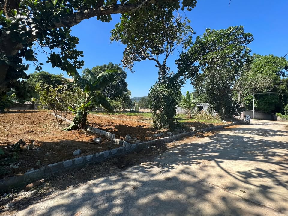 Đất nền thôn Tân Hoà, xã Hoà Sơn, Lương Sơn 107m² giá 2 tỷ - Cơ hội đầu tư tuyệt vời!