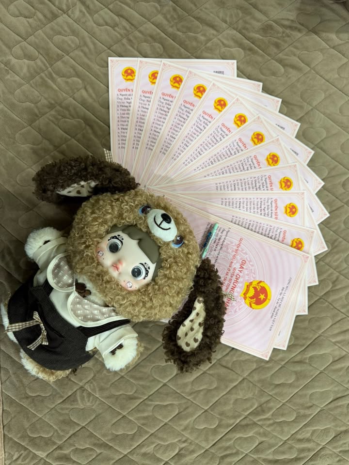 Đất ở thôn 1, xã Hạ Bằng, Thạch Thất 80m² - Giá tốt, sổ đỏ chính chủ!