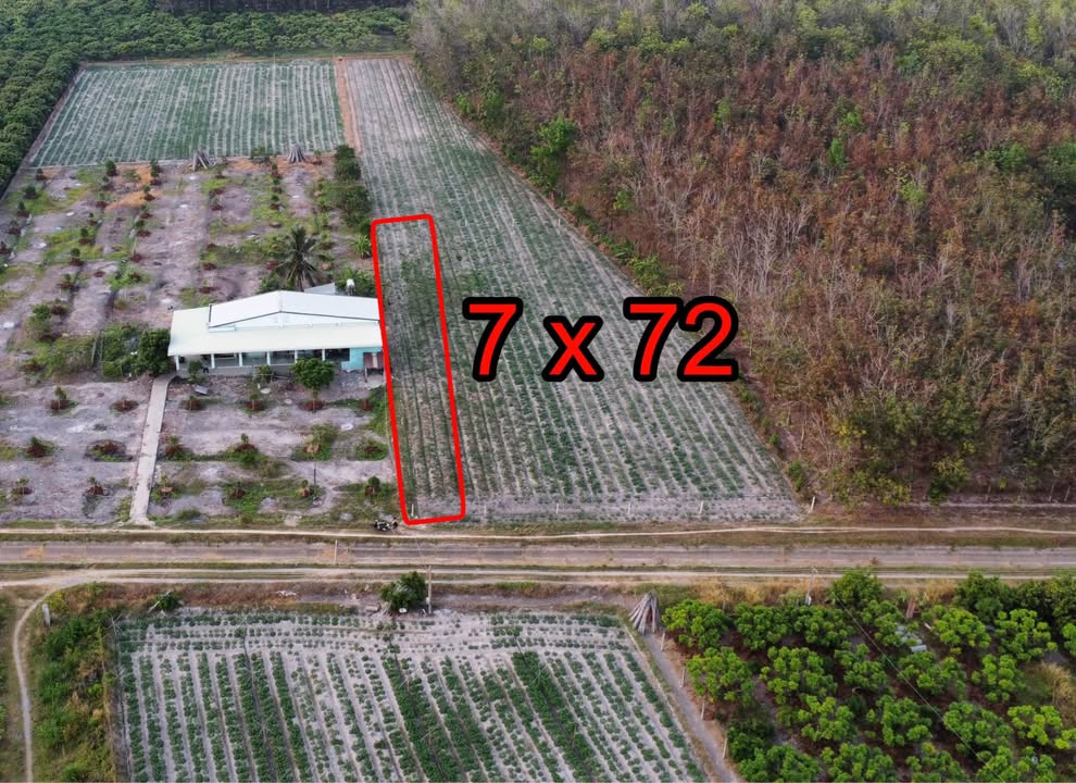 Đất nền 500m² tại Phường Bình Minh, Tây Ninh - Giá chỉ từ 400 triệu