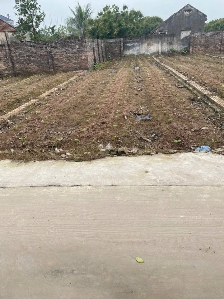 Đất nền Hoàn Long, Khoái Châu 115m² giá chỉ 2x triệu/m² - Cơ hội đầu tư tuyệt vời!