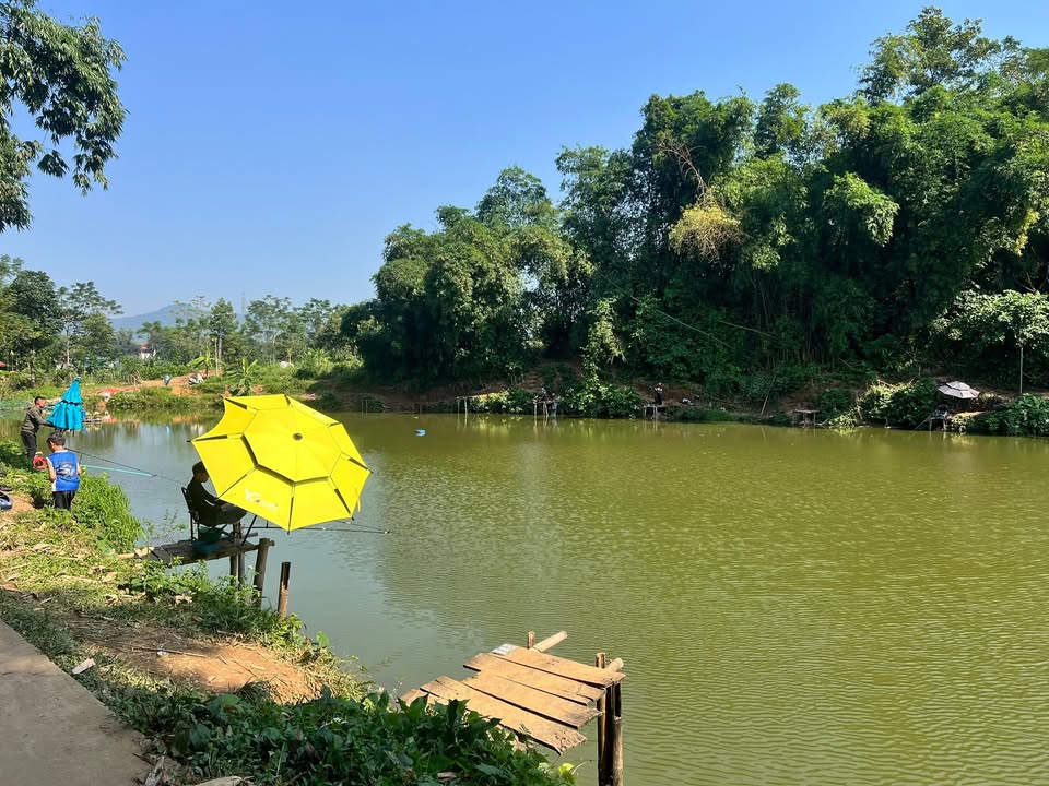 Đất nền Tân Mỹ Lạc Sơn 1400m² - Mặt tiền sông thơ mộng, giá thỏa thuận!