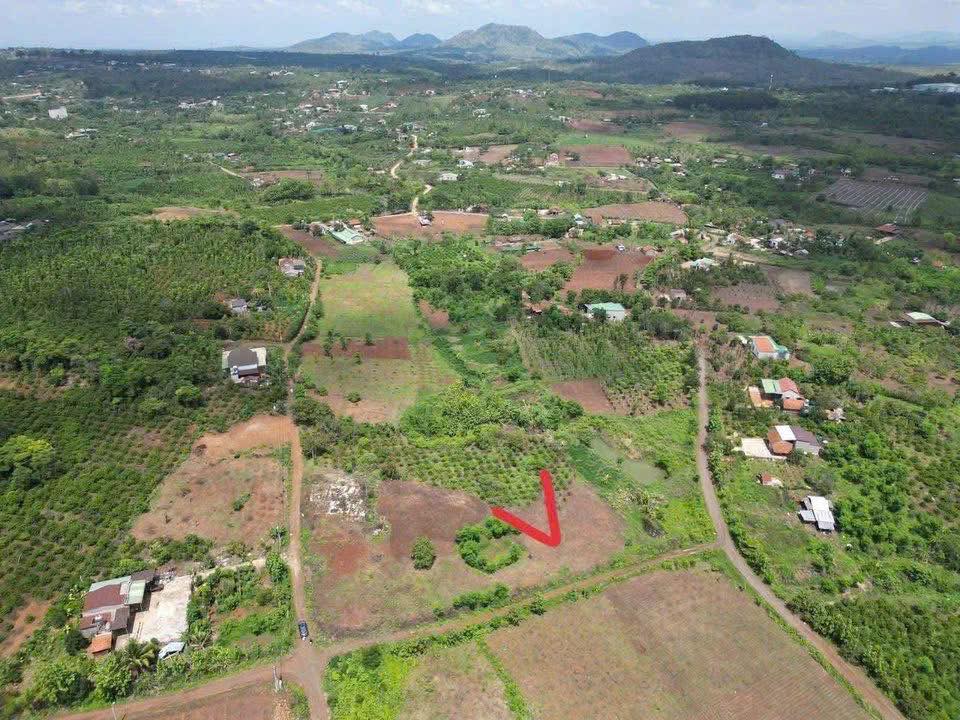 Đất nền Ea Kiết Cư M'gar 160m² chỉ từ 1xx triệu - Đầu tư sinh lời ngay!