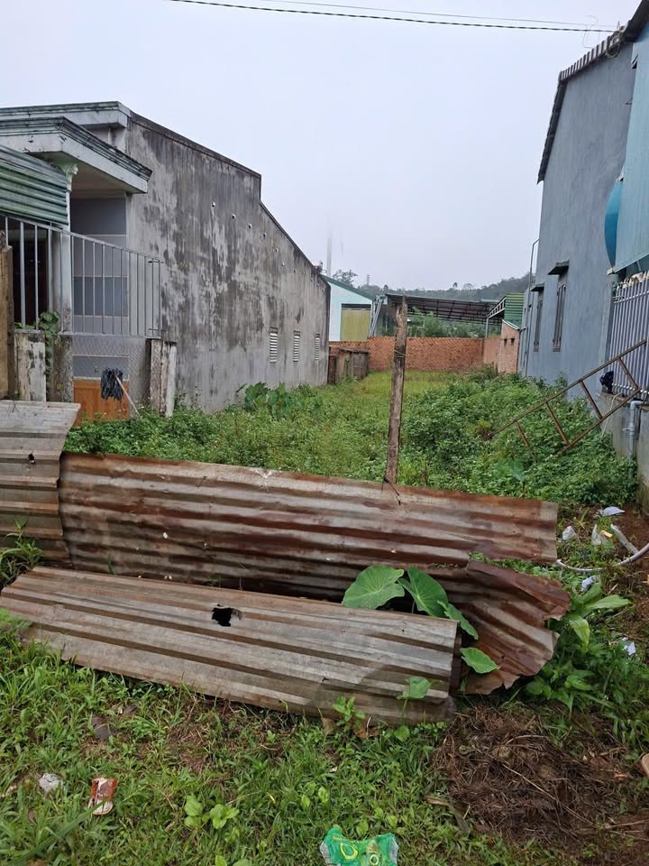 Đất thổ cư 180m² tại Thuận Hạnh, Đắk Song - Giá chỉ 800 triệu, bớt lộc!