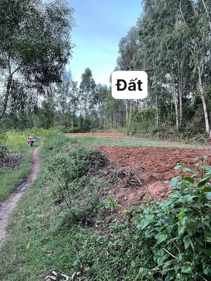 Đất ven biển Bình Phú, Bình Sơn 500m² giá 180 triệu - Đầu tư sinh lời tuyệt vời!