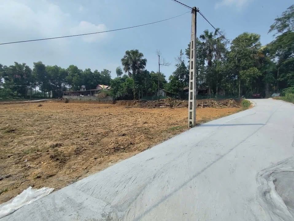 Đất nền Xuân Viên Yên Lập 200m² giá chỉ 100 triệu - Sổ hồng chính chủ ngay!