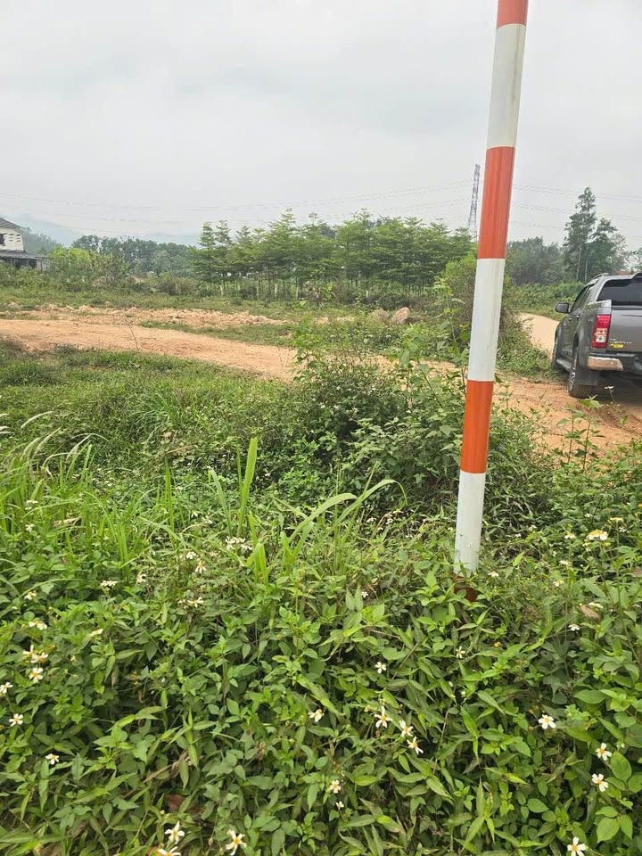 Đất thổ cư Bắc Sơn, Sóc Sơn 2500m² - Giá thỏa thuận hấp dẫn!