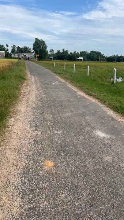 Đất nền Long Thuận, Bến Cầu, Tây Ninh 185m² giá 390 triệu - Cơ hội đầu tư tuyệt vời!