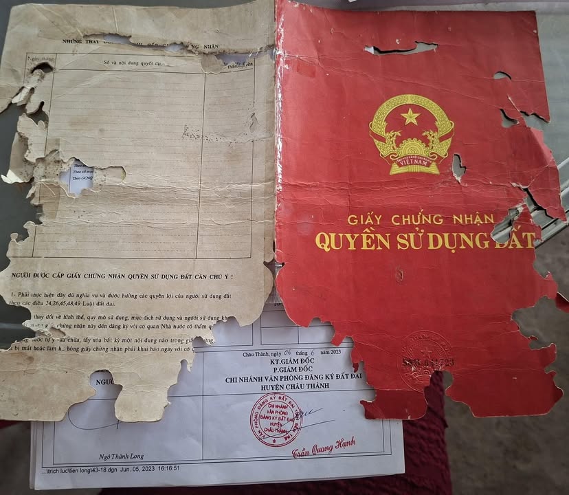 Đất nền Phước Mỹ Trung Mỏ Cày Bắc 539m² giá 750 triệu - Đầu tư sinh lời ngay!