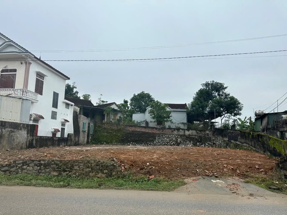 Bán đất mặt đường tỉnh lộ 534, Đô Lương, 190m² - Cơ hội đầu tư hấp dẫn!