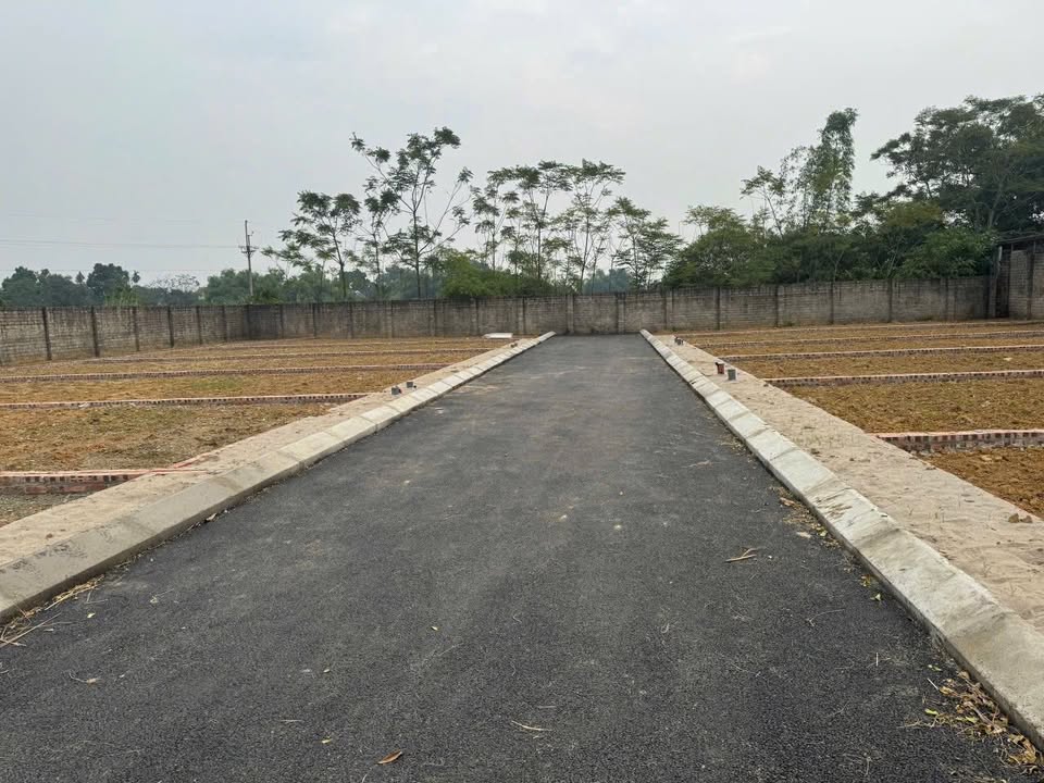 Đất thổ cư 100m² Sơn Đông, Sơn Tây giá 1.5 tỷ - Đầu tư sinh lời tuyệt vời!