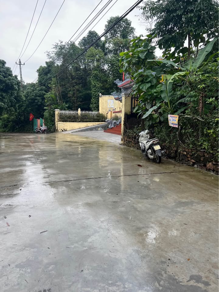 Đất nền mặt tiền Quảng Tế Huế 220m² giá chỉ 2 tỷ - Cơ hội đầu tư lý tưởng!