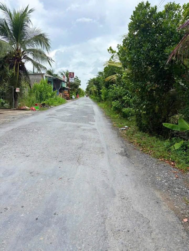 Đất nền chính chủ ĐT 79, Mỹ Lợi A, 180m² - Giá 1.25 tỷ, thổ cư đầy đủ!