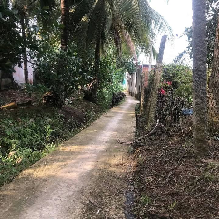 Đất nền Cai Lậy 210m² giá 650 triệu - Cơ hội đầu tư tuyệt vời!