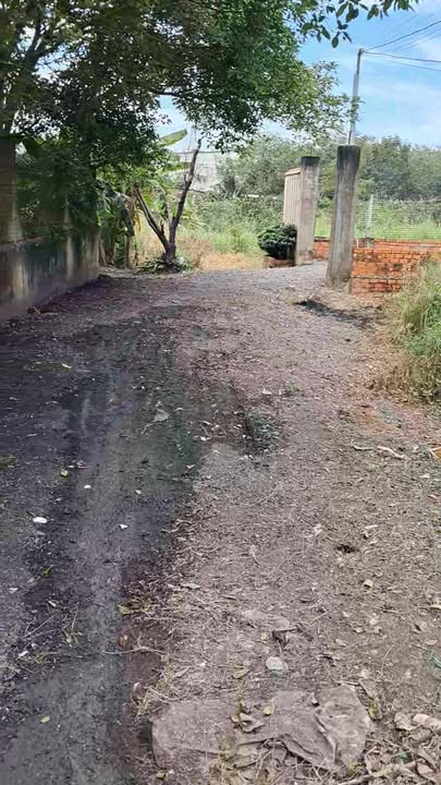 Nhà đất Trảng Bàng Tây Ninh 252m² giá 980 triệu - Chính chủ bán gấp!