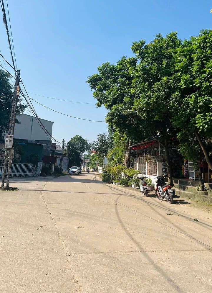 Đất nền đẹp tại Trại Giềng, Thanh Vân, Tam Dương - 109m² giá 1.5 tỷ - Kinh doanh thuận lợi!