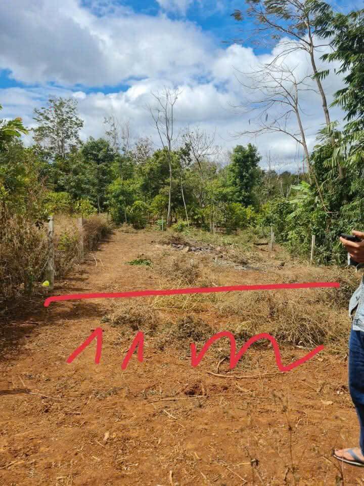 Đất nền Cư Suê, Cư M'gar 165m² chỉ 300 triệu - Đầu tư sinh lời ngay!