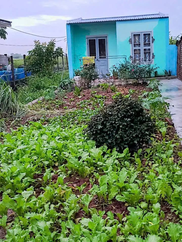 Đất nền Nghĩa Phú 125m² giá 1.639 tỷ - Mặt tiền lớn, view sông thoáng mát!