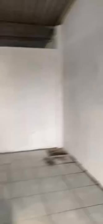 Nhà vườn cấp 4 Bến Lức 500m² giá chỉ 650 triệu - Dọn vào ở ngay!