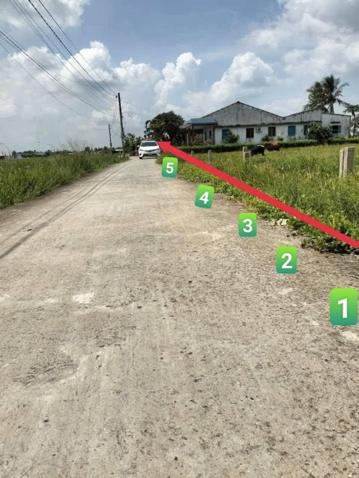 Đất nền 1140m² tại xã Đức Tân, huyện Tân Trụ - Giá chỉ 1.15 tỷ!